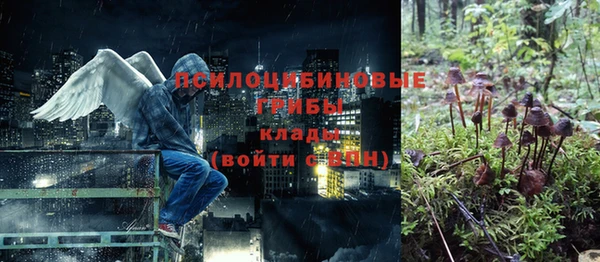 хмурый Арсеньев
