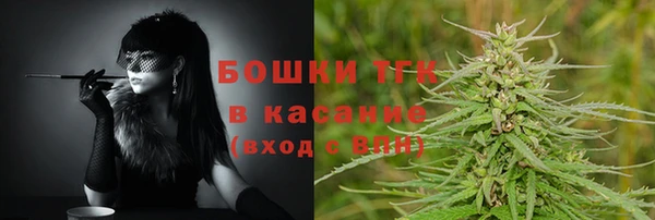 хмурый Арсеньев
