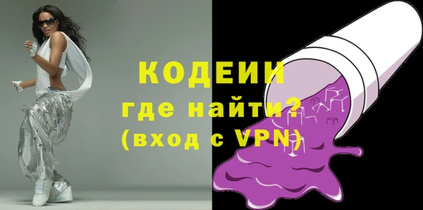 хмурый Арсеньев