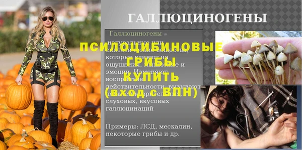 дурь Аркадак