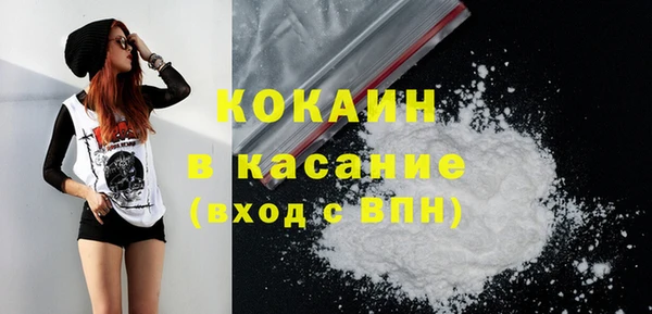 хмурый Арсеньев