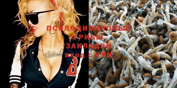 хмурый Арсеньев