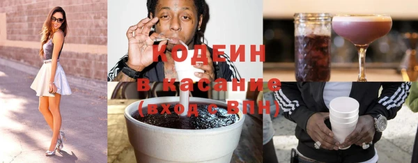 хмурый Арсеньев