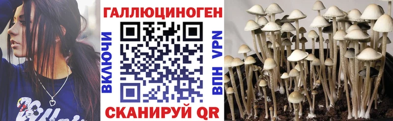 Галлюциногенные грибы прущие грибы  Полярные Зори 